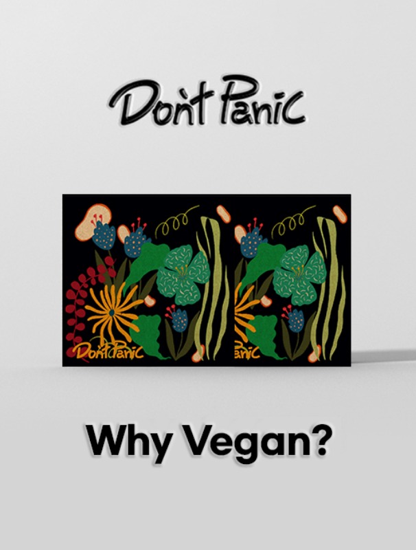 돈패닉서울 Vol.56 [Why Vegan?]